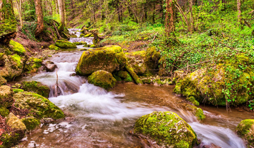 IMG-20240222-WA0002 IMG-20240222-WA0002