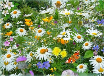 Gartensommerweg Gartensommerweg