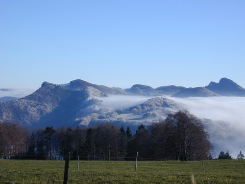 DSC 00N0251 DSC 00N0251