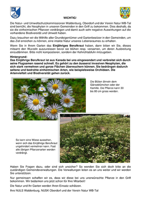 Informationsschreiben Berufkraut an die Hausbesitzer def_Mai_2024 Informationsschreiben Berufkraut an die Hausbesitzer def_Mai_2024