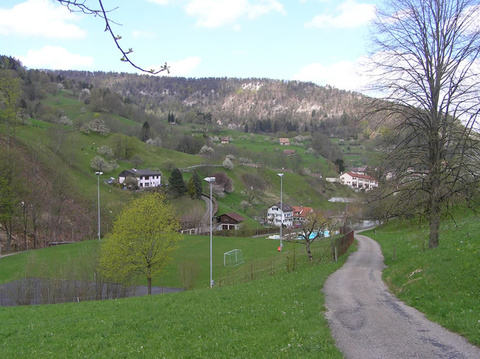 main wald gem main wald gem