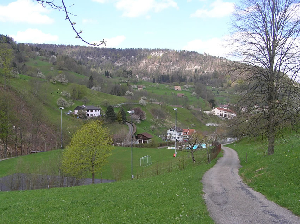 main wald gem main wald gem